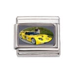 Chip Miller Italian Charm